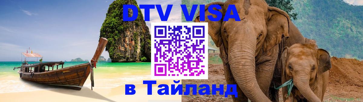 Оформление DTV визы под ключ: стоимость и тарифы, только загранпаспорт - 18.11.2025 